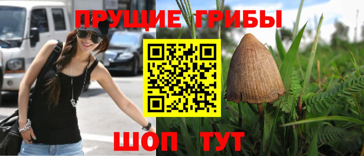 Галлюциногенные грибы мицелий Гусев